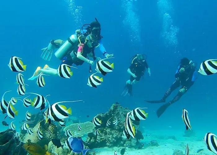 ホリデーパーク Sunia Loka & Dive Center